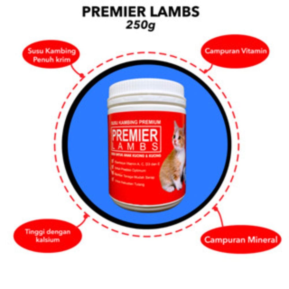 Premier Lamb 4