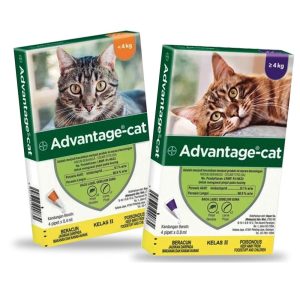 Rawatan Kutu Kucing | Advantage Cat Spot On Fleas Treatment For Cats